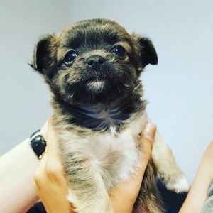 Meet your Posher, Karen